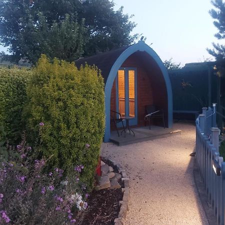 Glamping In The 2Nd Field Hotel Aughrim Eksteriør billede