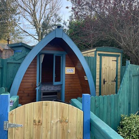 Glamping In The 2Nd Field Hotel Aughrim Eksteriør billede