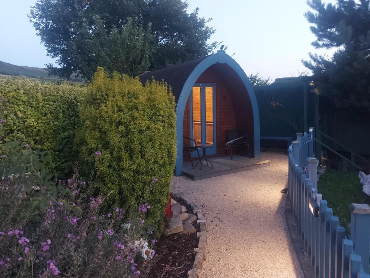 Glamping In The 2Nd Field Hotel Aughrim Eksteriør billede